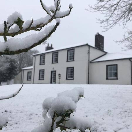 Lanercost Country B&B Brampton  Dış mekan fotoğraf
