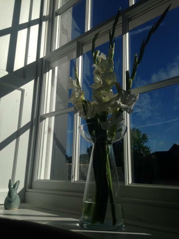 Lanercost Country B&B Brampton  Dış mekan fotoğraf