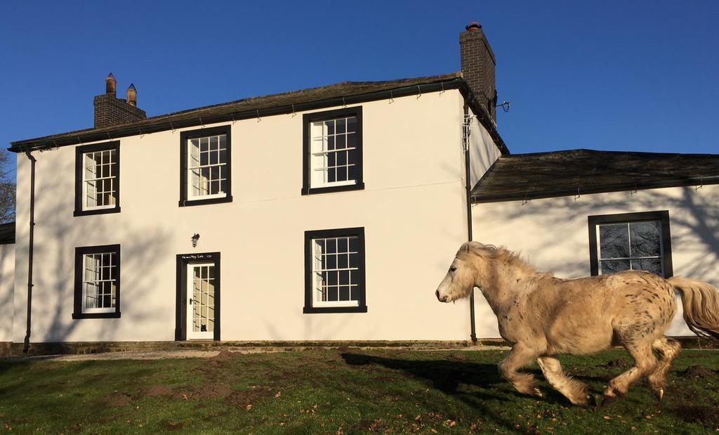 Lanercost Country B&B Brampton  Dış mekan fotoğraf