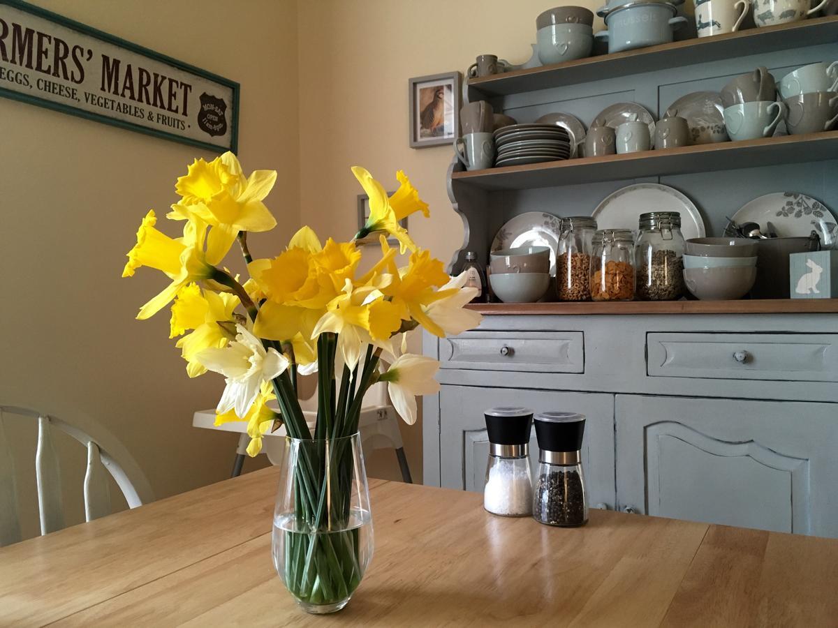 Lanercost Country B&B Brampton  Dış mekan fotoğraf
