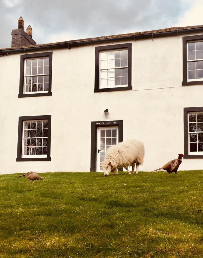 Lanercost Country B&B Brampton  Dış mekan fotoğraf
